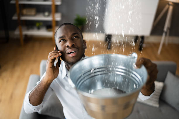 Best Flooded house restoration  in Augusta, GA