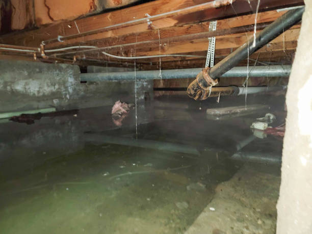 Best Emergency water damage restoration  in Augusta, GA