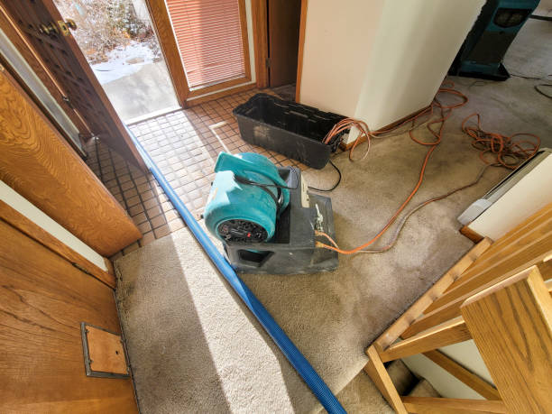 Best Flood damage cleanup  in Augusta, GA