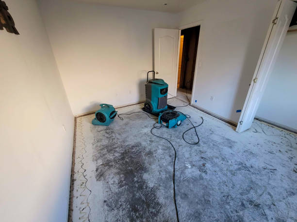 Best Basement water damage restoration  in Augusta, GA