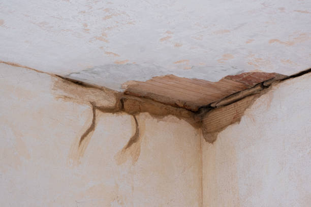 Best Flood damage cleanup  in Augusta, GA