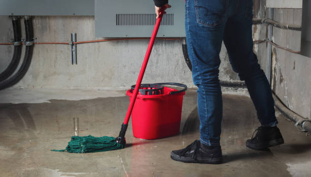 Best Water damage restoration specialists  in Augusta, GA