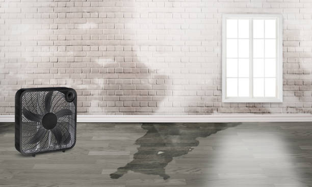 Augusta, GA Water damage restoration Company
