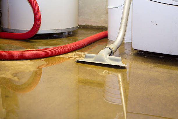 Best Ceiling water damage repair  in Augusta, GA