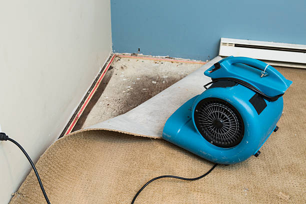 Best Water damage restoration near me  in Augusta, GA